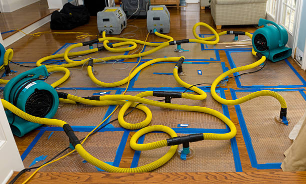 Professional Structural Drying And Dehumidification technician working in Kerman, CA
